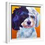 Teddy Bear Dog-Dawgart-Framed Giclee Print