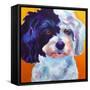 Teddy Bear Dog-Dawgart-Framed Stretched Canvas