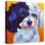 Teddy Bear Dog-Dawgart-Stretched Canvas