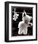 Teddy Bear Drying-U^ Dresing-Framed Art Print