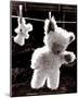 Teddy Bear Drying-U^ Dresing-Mounted Art Print