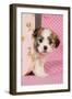 Teddy Bear Puppy in Pink Suitcase-null-Framed Photographic Print