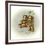 Teddy Bear's Picnic II-Peggy Harris-Framed Giclee Print