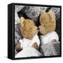 Teddy Bear X2 Teddies in Bed-null-Framed Stretched Canvas