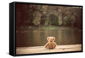 Teddy Bear-Creaturart Images-Framed Stretched Canvas