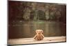 Teddy Bear-Creaturart Images-Mounted Photographic Print