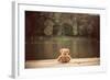 Teddy Bear-Creaturart Images-Framed Photographic Print