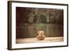 Teddy Bear-Creaturart Images-Framed Photographic Print