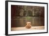 Teddy Bear-Creaturart Images-Framed Photographic Print