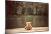 Teddy Bear-Creaturart Images-Mounted Photographic Print