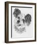 Teddy Bear-Barbara Keith-Framed Giclee Print