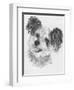 Teddy Bear-Barbara Keith-Framed Giclee Print