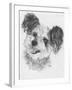 Teddy Bear-Barbara Keith-Framed Giclee Print