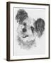 Teddy Bear-Barbara Keith-Framed Giclee Print