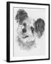 Teddy Bear-Barbara Keith-Framed Giclee Print