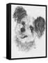 Teddy Bear-Barbara Keith-Framed Stretched Canvas