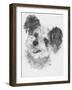 Teddy Bear-Barbara Keith-Framed Giclee Print