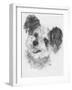 Teddy Bear-Barbara Keith-Framed Giclee Print