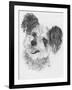 Teddy Bear-Barbara Keith-Framed Giclee Print