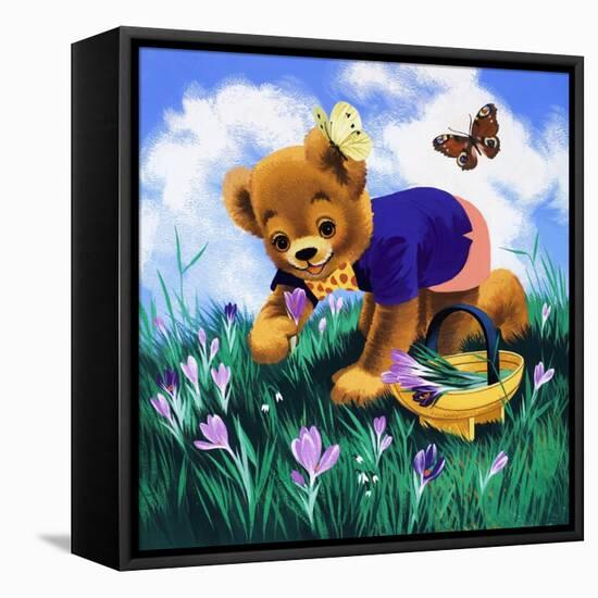 Teddy Bear-Francis Phillipps-Framed Stretched Canvas