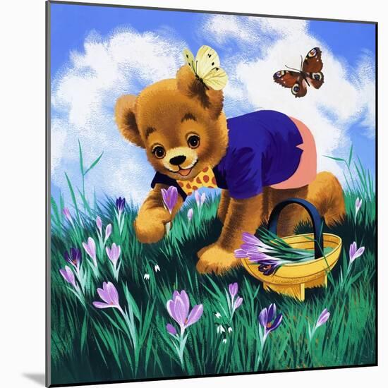 Teddy Bear-Francis Phillipps-Mounted Giclee Print