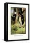 Teddy Roosevelt's Bears: A Small Brown Bird-R.k. Culver-Framed Stretched Canvas