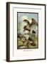 Teddy Roosevelt's Bears: Grabbed-R.k. Culver-Framed Art Print