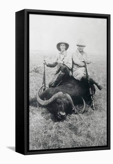 Teddy Roosevelt Sitting on Dead Water Buffalo with Rifle-null-Framed Stretched Canvas