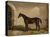 Teddy the Tiler, A Horse, 1842-Thomas W. Bretland-Stretched Canvas