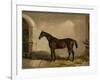 Teddy the Tiler, A Horse, 1842-Thomas W. Bretland-Framed Giclee Print