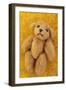 Teddy-Den Reader-Framed Photographic Print