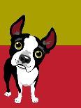 Boston Terrier Dog-TeddyandMia-Art Print