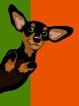 Illustration of a Chihuahua Dog-TeddyandMia-Art Print