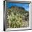 Teddybear Cholla Cactus in Arizona Desert Mountains-Anna Miller-Framed Premium Photographic Print