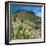 Teddybear Cholla Cactus in Arizona Desert Mountains-Anna Miller-Framed Photographic Print