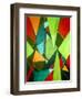 Teeming Triangles-Ruth Palmer-Framed Art Print