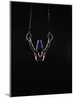 Teenage (16-17) Male Gymnast Practicing on Rings against Black Background-Thomas Barwick-Mounted Photographic Print