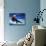 Teenage Boy Snowboarding in Mid-Air-null-Photographic Print displayed on a wall