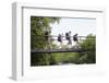 Teenage Boys and Girls with Backpacks Walking on Bridge in Forest-Nosnibor137-Framed Photographic Print