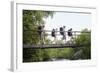 Teenage Boys and Girls with Backpacks Walking on Bridge in Forest-Nosnibor137-Framed Photographic Print