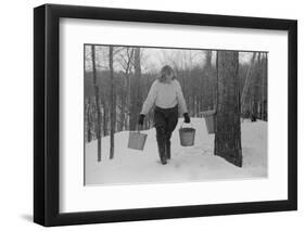 Teenage Girl Gathering Sap from Sugar Maple Trees, North Bridgewater, Vermont, 1940-Marion Post Wolcott-Framed Premium Photographic Print