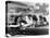 Teenage Girls Enjoying Milkshakes at Drive in Restaurant-Nina Leen-Stretched Canvas