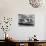 Teenage Girls Enjoying Milkshakes at Drive in Restaurant-Nina Leen-Stretched Canvas displayed on a wall