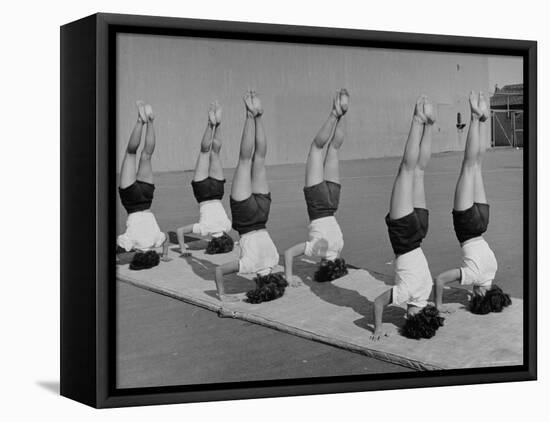 Teenage Girls from Hoover High School Standing on Their Heads in Gymnastics Class-Martha Holmes-Framed Stretched Canvas