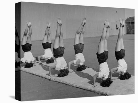 Teenage Girls from Hoover High School Standing on Their Heads in Gymnastics Class-Martha Holmes-Stretched Canvas