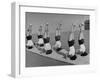 Teenage Girls from Hoover High School Standing on Their Heads in Gymnastics Class-Martha Holmes-Framed Photographic Print