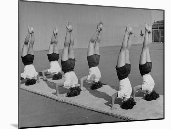 Teenage Girls from Hoover High School Standing on Their Heads in Gymnastics Class-Martha Holmes-Mounted Photographic Print
