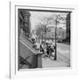 Teenage Girls Walking Down Sidewalk in Brooklyn, NY, 1949-Ralph Morse-Framed Photographic Print