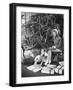 Teenage Girls with Presents and Christmas Tree-null-Framed Photo