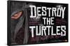 Teenage Mutant Ninja Turtles - Destroy-null-Framed Poster